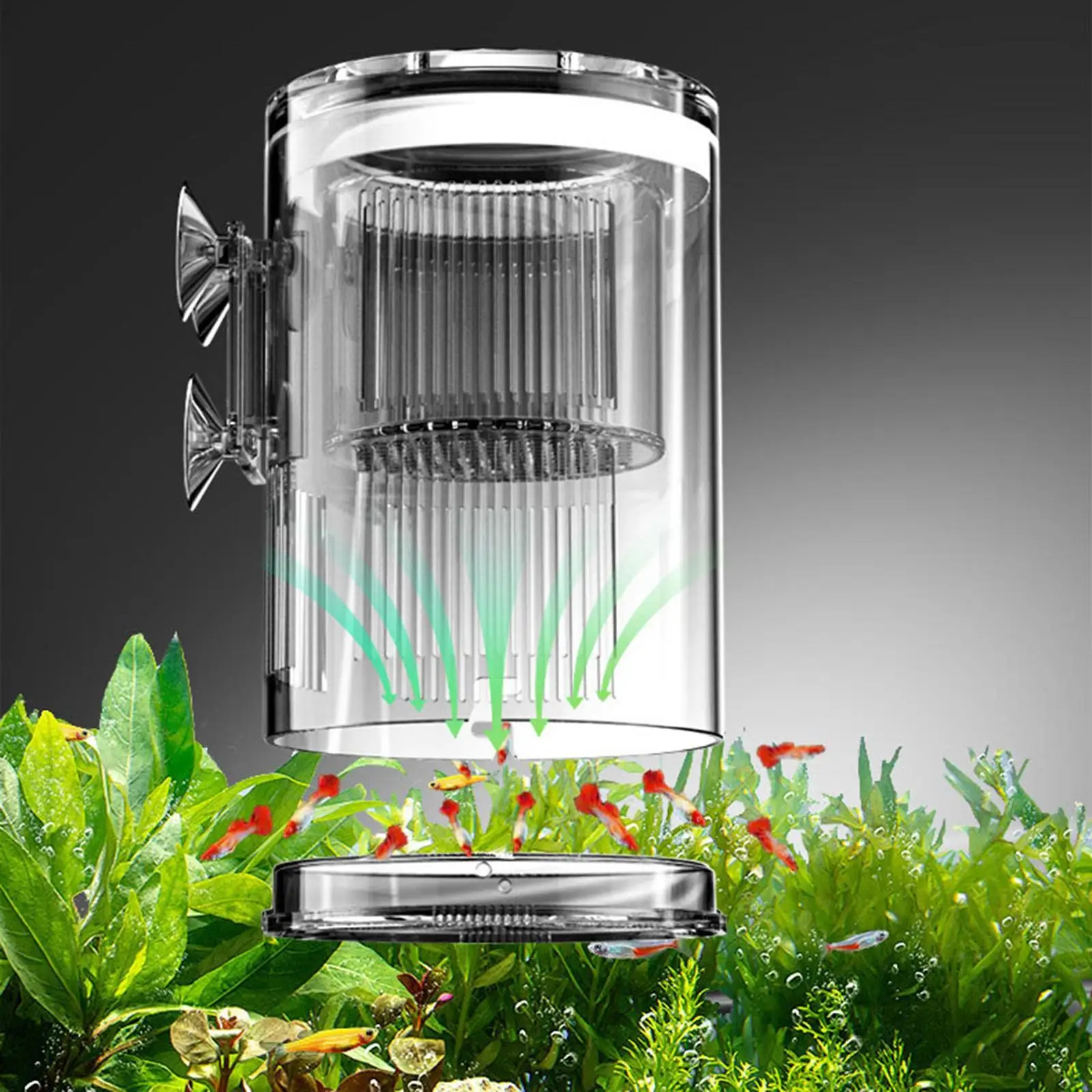 Hatchery Incubator Tank Sturdy Clear Fish Isolation Box for Baby Fishes