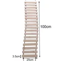 100cm Length ladder