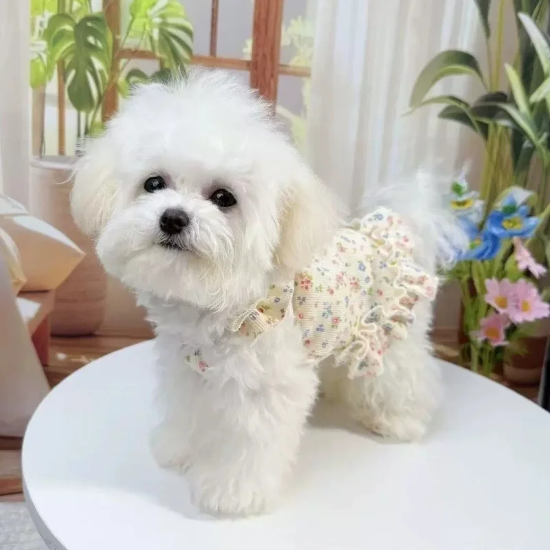 Conjunto verano para perros y gatos – Vestido falda chaleco