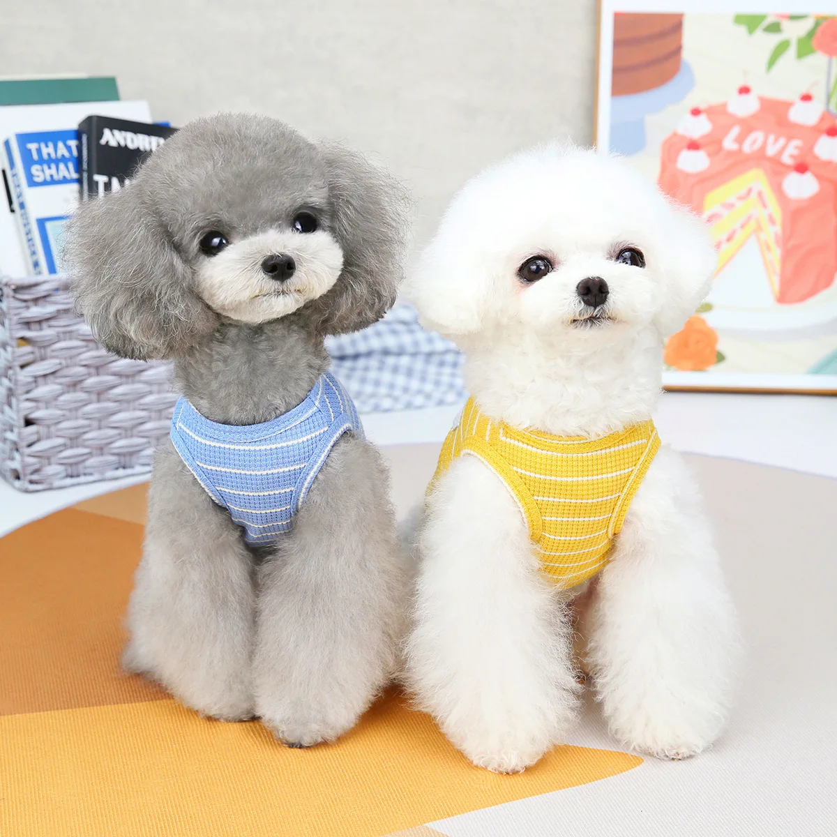 Chaleco de oso para mascotas, ropa para perros, camiseta lisa para gatos, ropa fina para perros pequeños, Moda para Chihuahua, chaleco transpirable para mascotas, York, 2023 - imagen 2