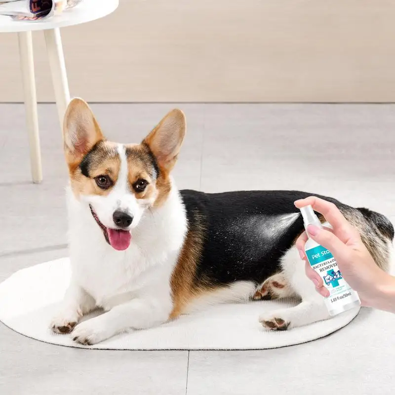 Espray eliminador de olores para perros, Spray eliminador de olores para perros, suministros de baño para perros, Perfume para perros de larga duración después del baño, 50ml - imagen 3