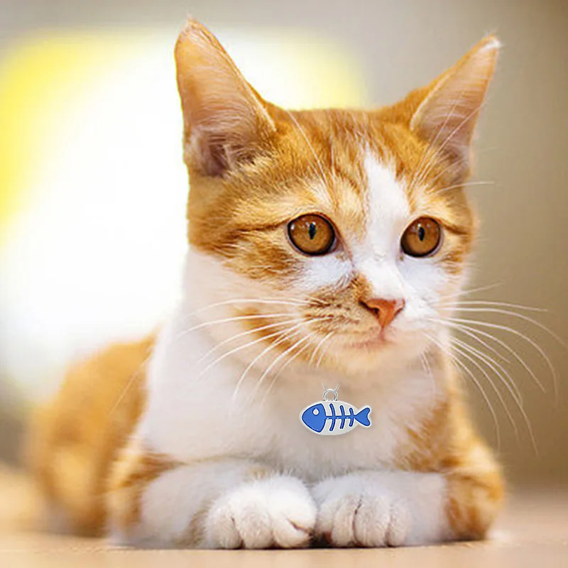 Etiqueta de identificación de perro personalizada, Collar para mascota con grabado gratis, colgante, placa con nombre antipérdida para cachorros, etiquetas personalizadas de hueso de gato, suministros para perros y mascotas - imagen 2