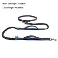 BU dog leash B
