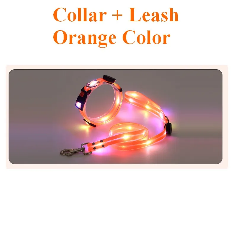 CollarLeash Orange