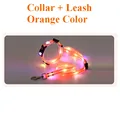 CollarLeash Orange