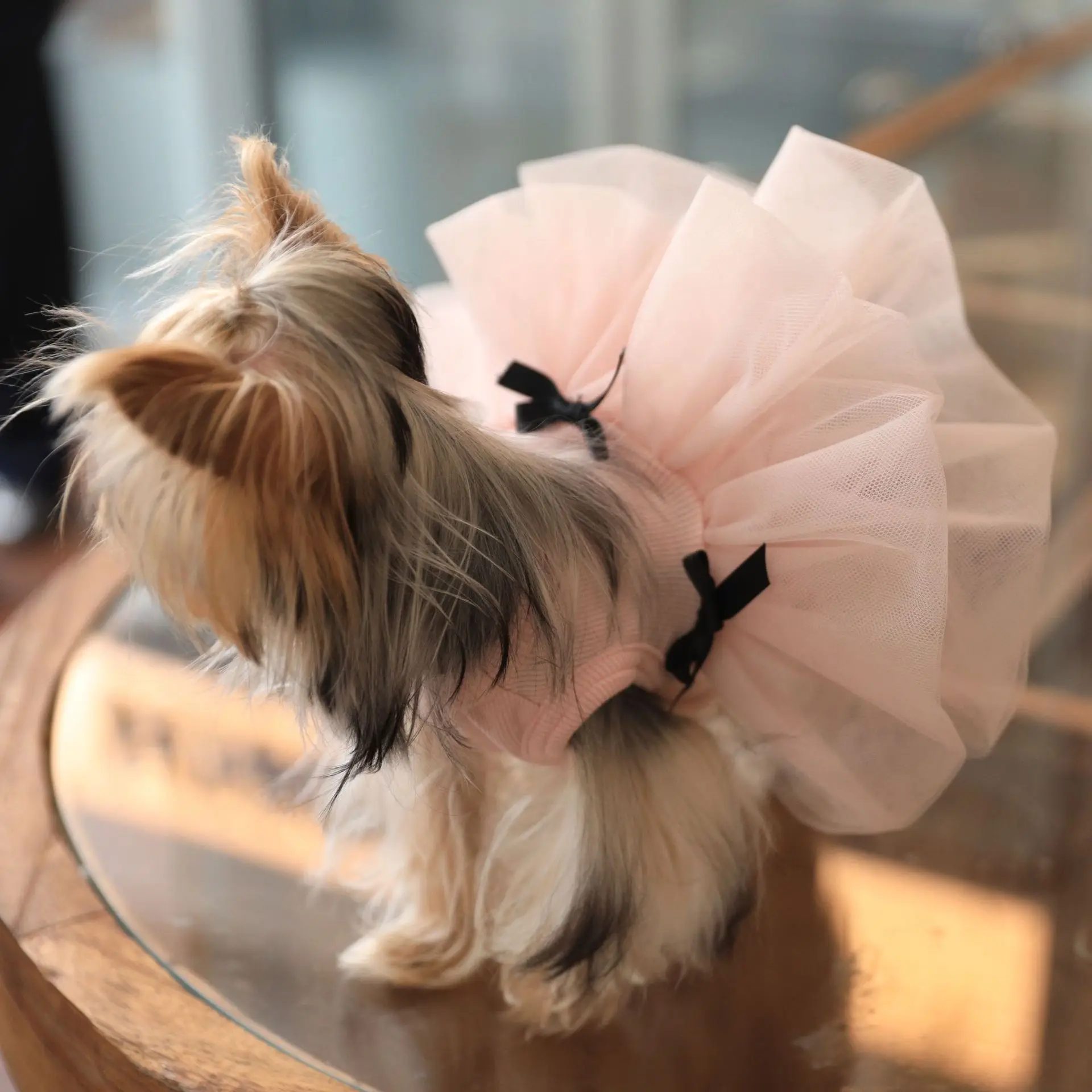 Vestido de princesa rosa para mascotas, chaleco transpirable con lazo, vestido de novia con brotes de flores para perros pequeños, vestido de fiesta de boda transpirable para Yorkie - imagen 4