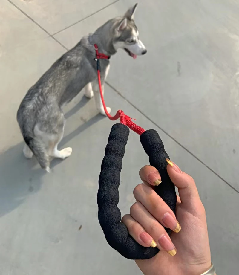 Suministros para caminar para mascotas, cuerda antideslizante de nailon de 150cm para perros pequeños y medianos, Bulldog Francés, Corgi, cachorro, juego de correa y Collar reflectantes - imagen 4