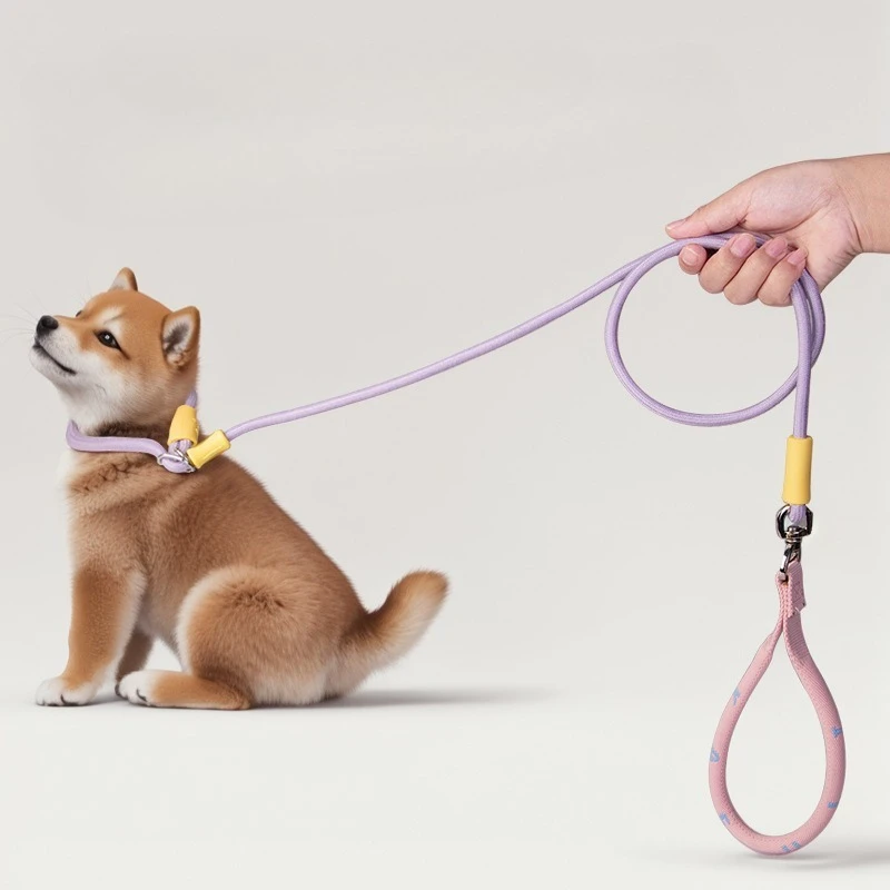 Correa de tracción y collar de nailon para perros grandes y pequeños - imagen 2