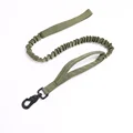 Green Leash