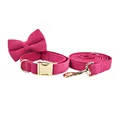 Bow Collar Leash Set