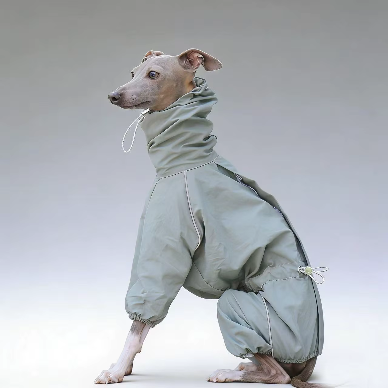Cortavientos impermeable para Galgo Español y Whippet – Chaqueta ajustable - imagen 4