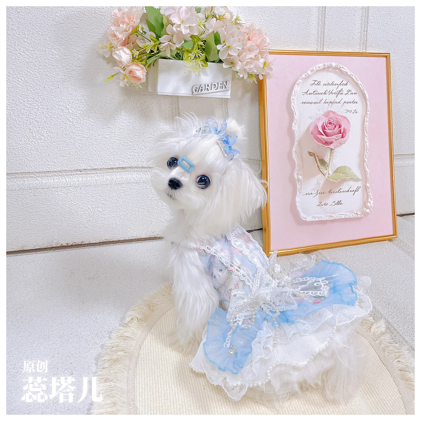 Vestido de lolita para perros: falda abullonada de camisola de encaje con perlas, traje de princesa adecuado para perros pequeños, ropa bonita para mascotas - imagen 3