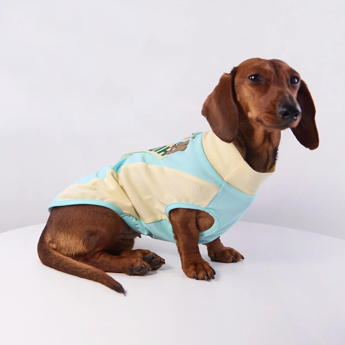 Camiseta elástica para perro salchicha fresca y transpirable en verano - imagen 2