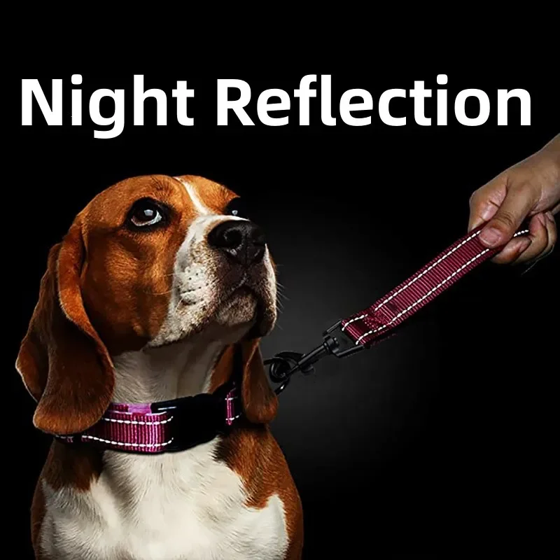 Correa para perro, correa corta para perros, correas de nailon de 30cm para caminar para perros grandes, correa reflectante impermeable, cuerda de tracción para perros, cadena para mascotas - imagen 2