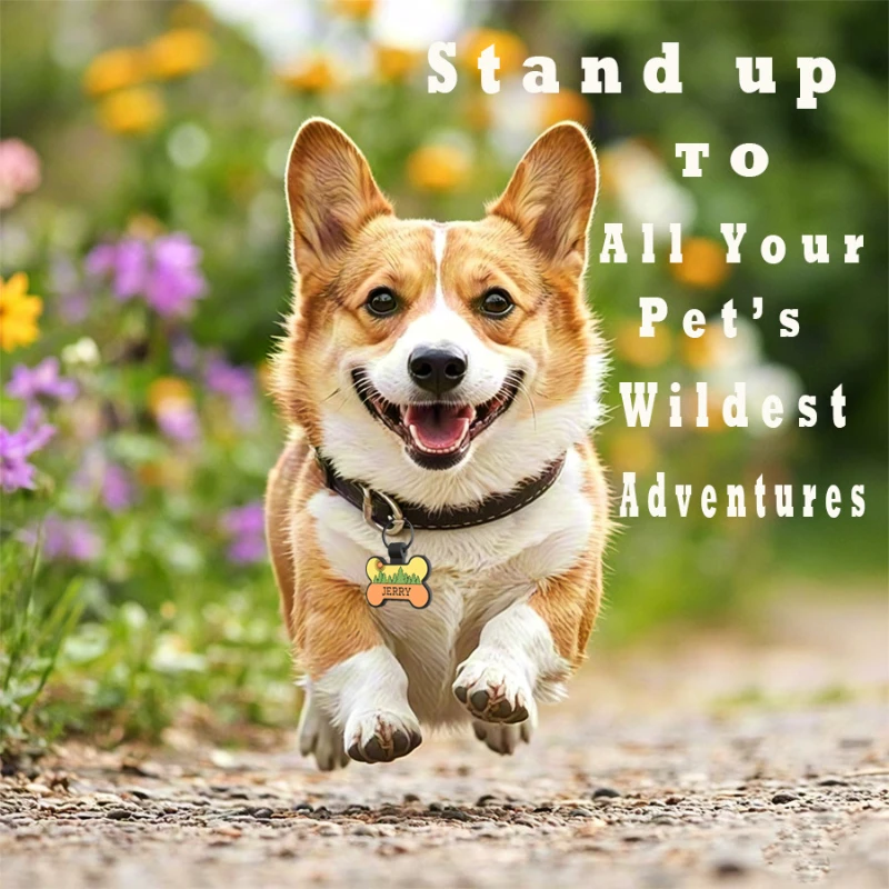 Etiqueta antipérdida de hueso de silicona para mascotas, Collar para perro y gato, etiqueta de nombre, accesorios personalizados para perros, etiquetas de identificación personalizadas para mascotas, colgante - imagen 5