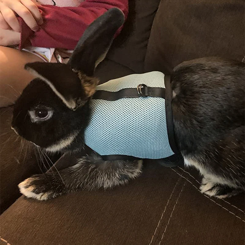 Solid Adjustable Pet Harness and Leash for Rabbit Bunny Cat Ferrets Outdoor Walking Pets Supplies lapin accessoires pour animaux - imagen 3