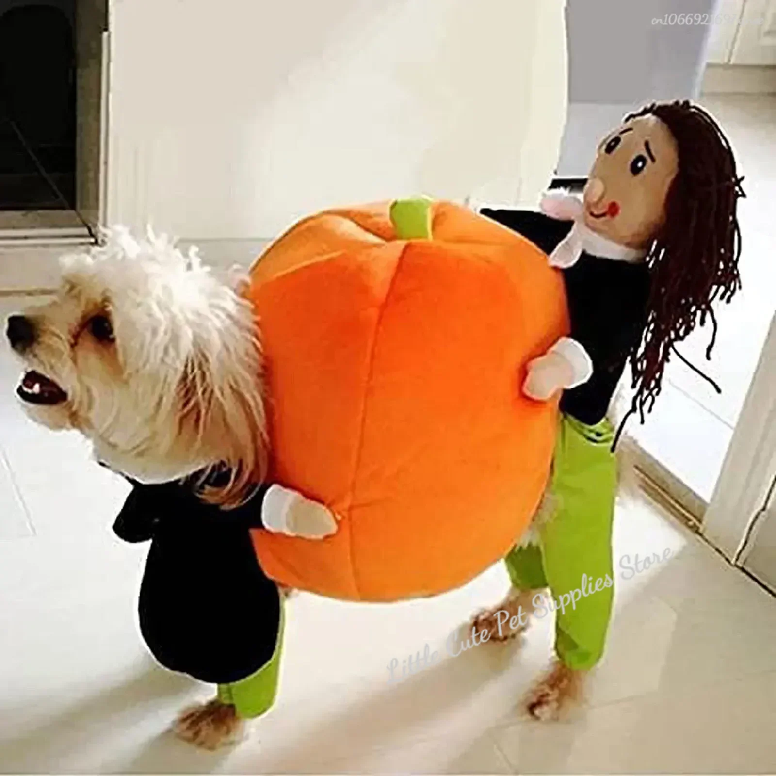 Ropa divertida de calabaza para Halloween, disfraz para gato y mascota, ropa para eventos especiales, traje para perro, disfraces de calabaza portadores bonitos
