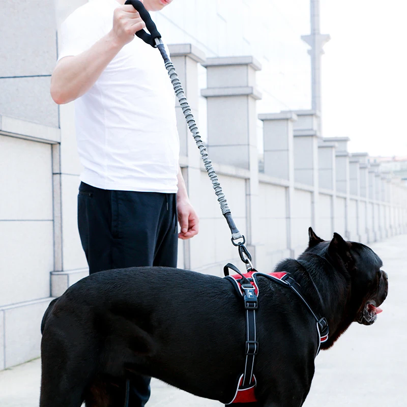 Bungee Dog Leash for Shock Absorption Heavy Duty No Pull Training Leash for Medium and Large Dogs - imagen 2