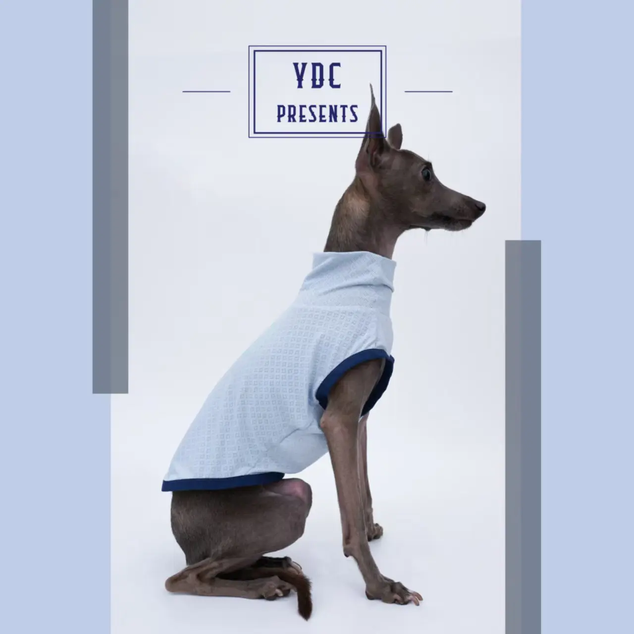 Ropa de galgo italiano, chaleco para perro de sensación fresca de verano, ultrasuave, transpirable, ligero, de alta elasticidad, deportivo para perros - imagen 5
