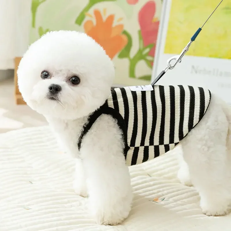 Ropa tejida a rayas para mascotas, ropa para perros, camiseta sin mangas para gatos, Teddy de Pomerania, ropa de primavera para cachorros pequeños, disfraz para perros - imagen 3