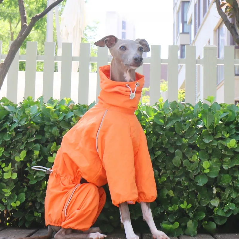 Impermeable para galgos y whippets cuello alto cremallera ajustable - imagen 2