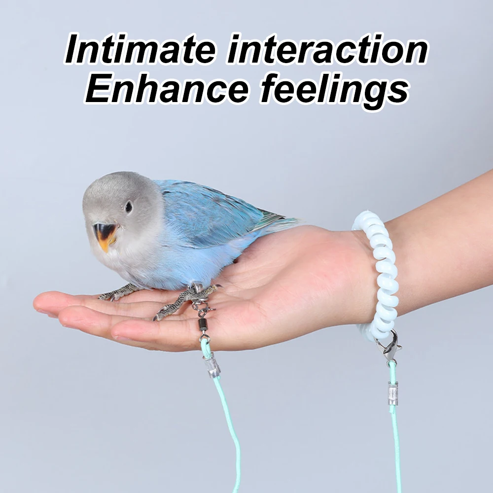 Cuerda de liberación para loros, correa para pájaros ultraligera, no dañina hasta los pies, cuerda de liberación de vuelo para loros y mascotas, correa para pájaros (sin anillo para pie), 1 ud. - imagen 5
