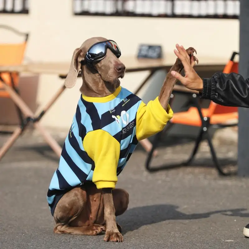 Ropa para perros de primavera y otoño para perros grandes, sudaderas con capucha para perros grandes con gafas, abrigo suave de algodón para Labrador Golden Retriever