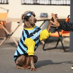 Ropa de primavera y otoño para perros grandes: sudadera con capucha
