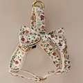 Bow dog harness
