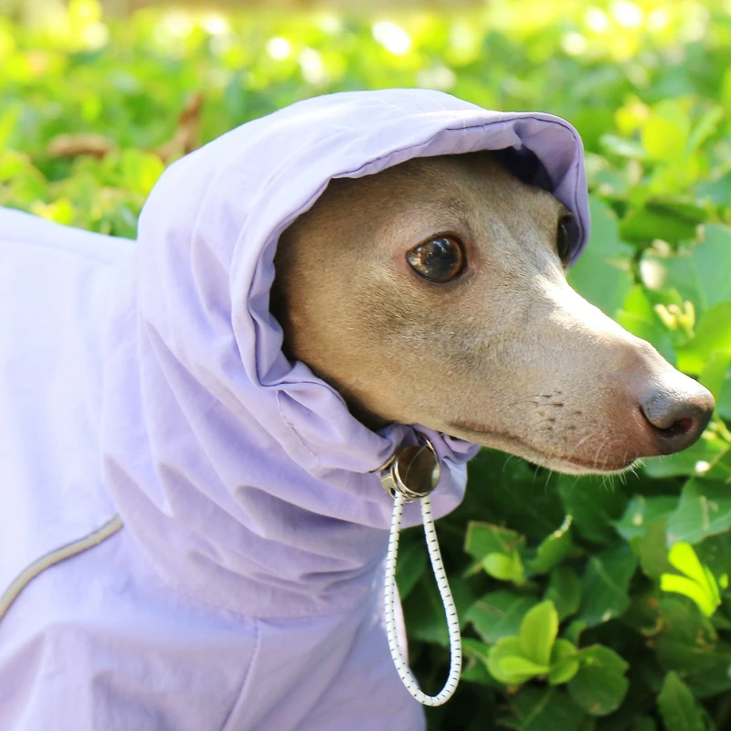 Abrigo impermeable de verano para galgo y whippet – cuello alto - imagen 4