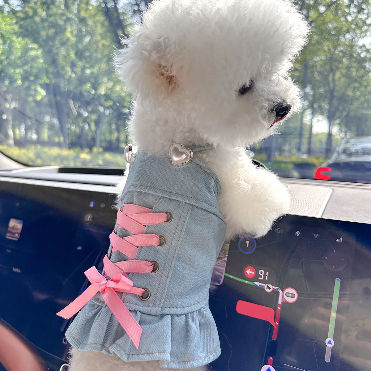 Falda con tirantes de vaquero para mascotas, ropa para gatos, chaleco con tirantes, Top de peluche de vaquero, ropa para perros pequeños, ropa para cachorros