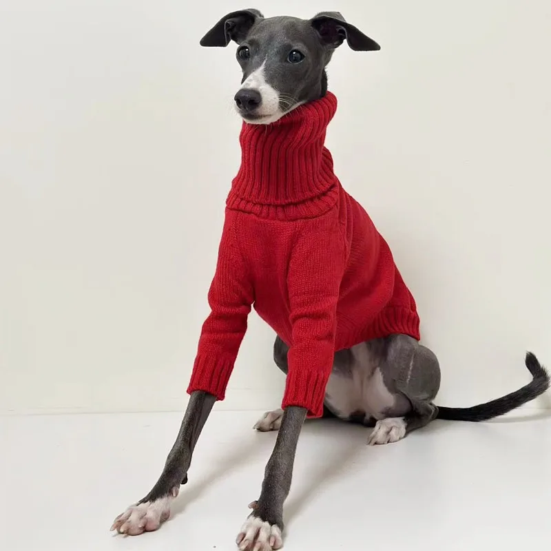 Vista lateral de la ropa para perros pequeños