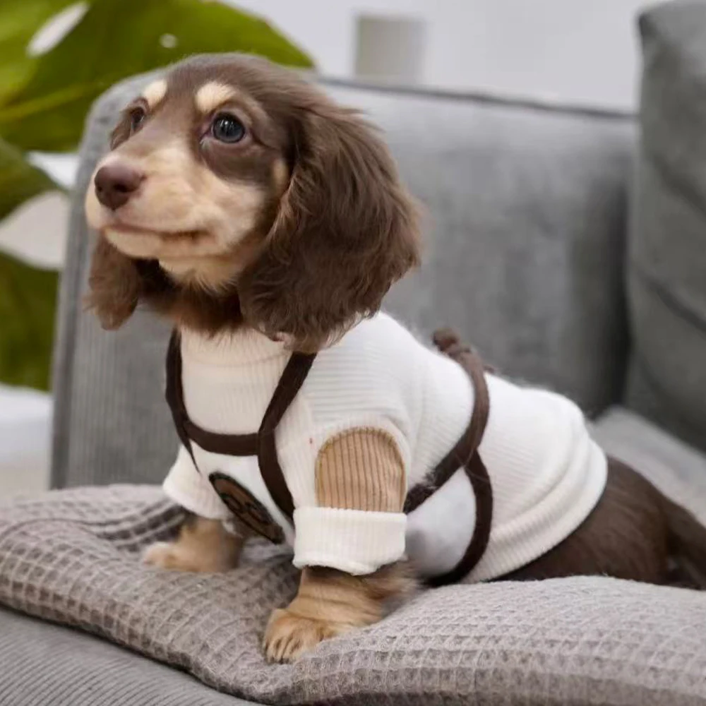 Sudadera de primavera y otoño para Dachshund y perros pequeños - imagen 2