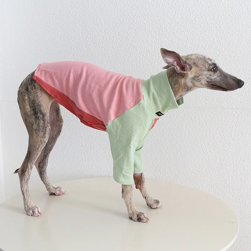Ropa para mascotas Whippet galgo italiano sudadera cálida para perros cuello alto bloque abrigo elástico para perros para perros pequeños y medianos y delgados - imagen 3