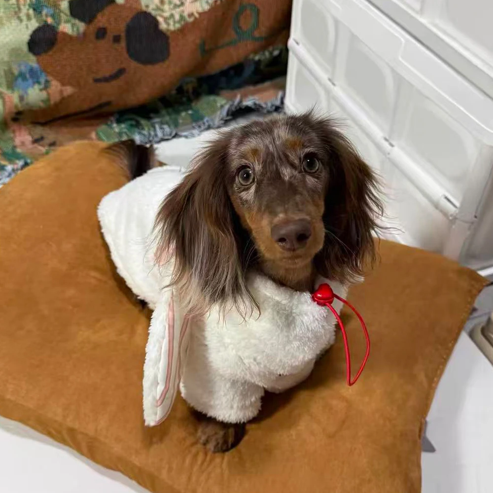 Traje de lana cálido para perros salchicha, cuello alto y mangas largas - imagen 4