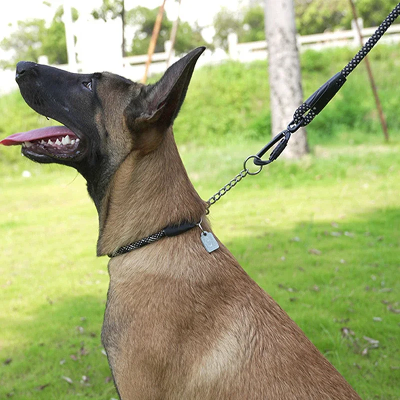 Winhyepet Collar de perro para viajar, Collar de estrangulación para mascotas, cadena P, entrenamiento, caminar, collares genuinos para cachorros, perros medianos y grandes, Pitbull - imagen 3