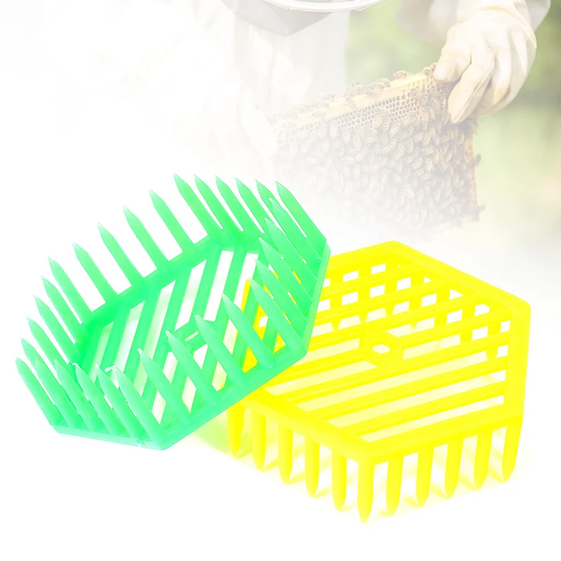 Jaula para abeja reina - Accesorio de apicultura para cría - imagen 3