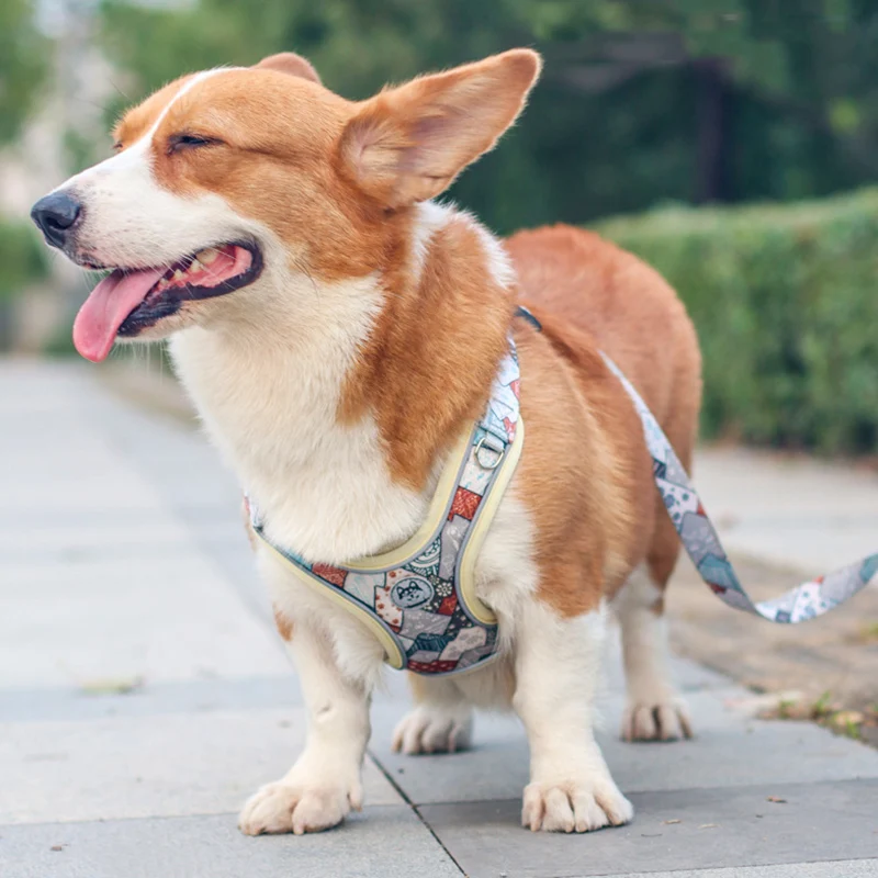 Arnés y correa ajustables para perros pequeños y medianos, conjunto de arnés fuerte para mascotas, Bulldog Francés, Doberman, suministros para mascotas - imagen 4