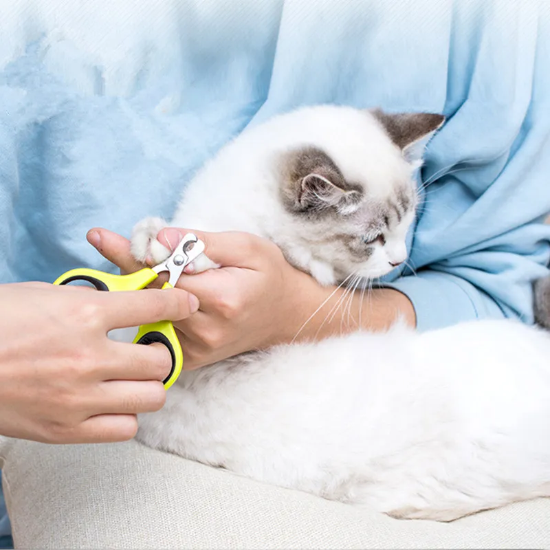 Cortaúñas de acero inoxidable para mascotas, limpiador de garras para gatos, tijeras profesionales para gatos, productos para mascotas - imagen 2