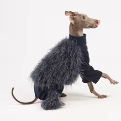 Abrigo de lana de cordero de imitación de piel larga para galgo italiano en invierno fotografía callejera mono cálido sudadera gris para Whippet