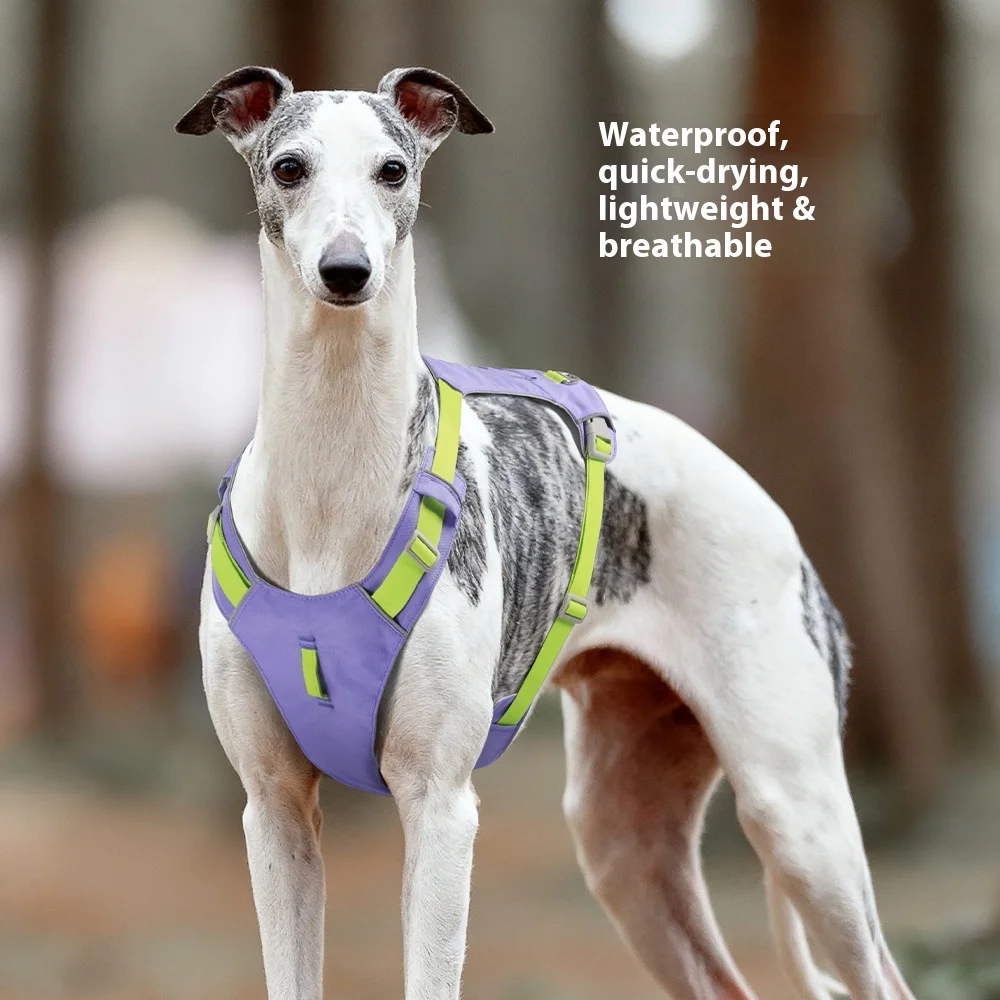 Arnés para perros a prueba de escape, ligero, malla transpirable de secado rápido con tiras reflectantes para perros pequeños, uso en exteriores - imagen 2