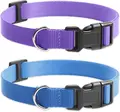 Purple-Blue Nylon