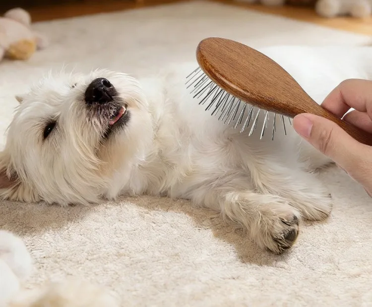 Mascota siendo cepillada con el peine de madera