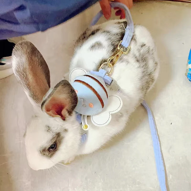 Juego de arnés y correa ajustables para perros y gatos, arneses para mascotas para caminar para animales pequeños, gatos, conejos, mascotas, suministros de accesorios - imagen 3