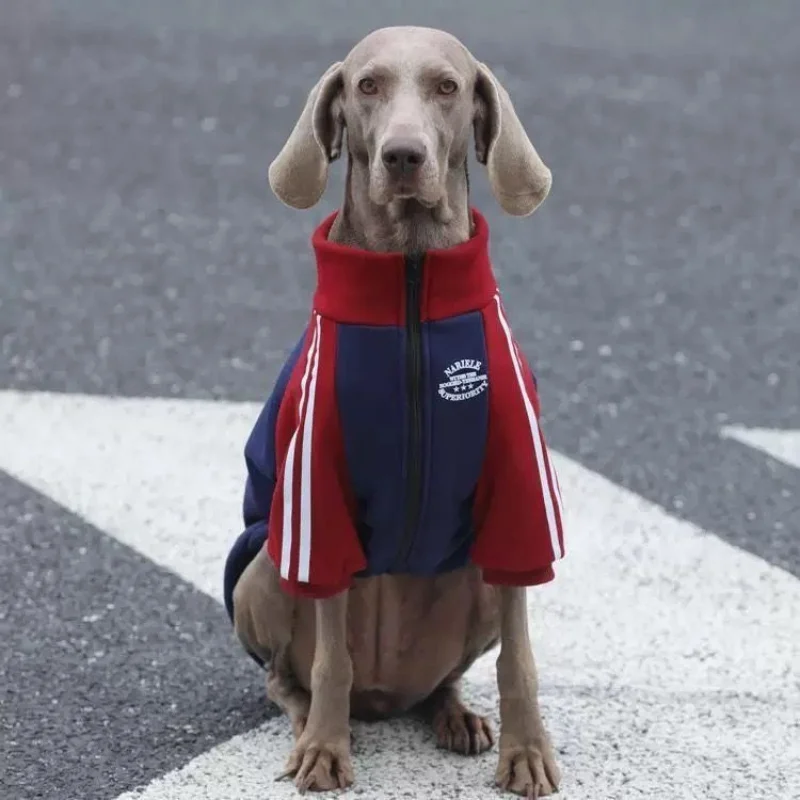 Abrigo polar para perros medianos y grandes – Otoño e invierno - imagen 2