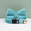 bow tie collar