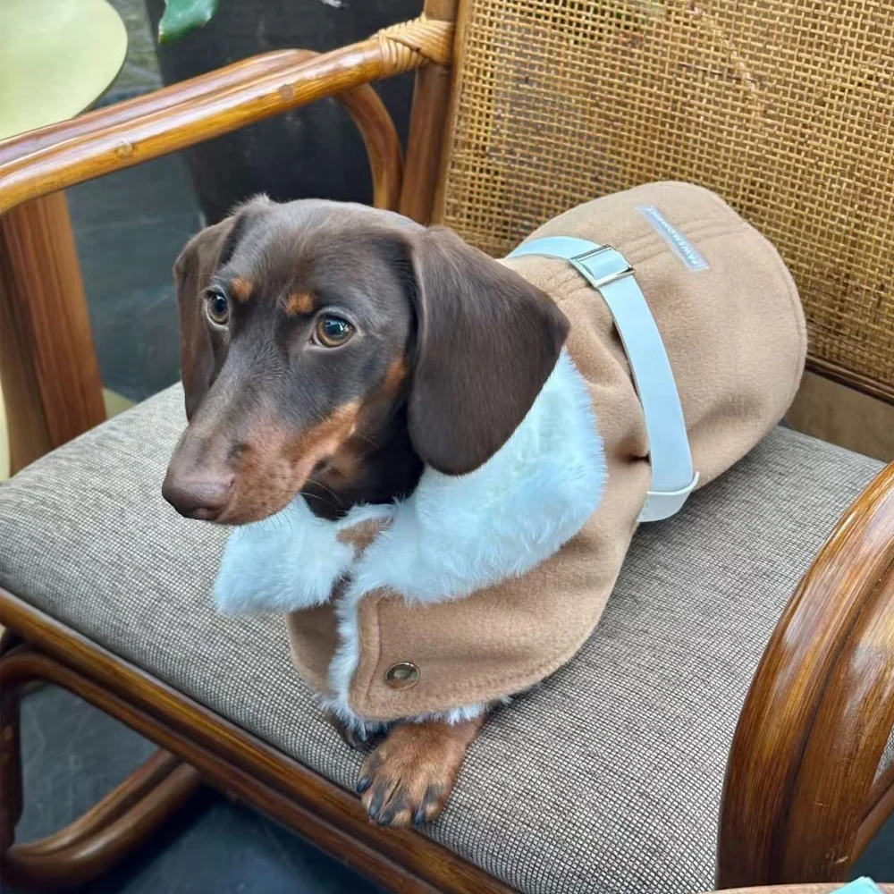 Chaqueta de capa con cintura ajustable para perros Wiener, abrigo grueso y cálido de invierno para perros salchicha, abrigo con Cuello de piel para perros pequeños de tejón - imagen 2