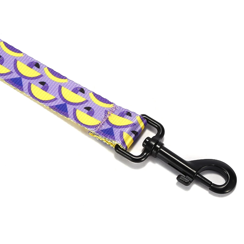 La correa para perro POCKET PARROT de diseño único de PLATTCO es vívida y linda, adecuada para perros que caminan de todos los tamaños PDL312 - imagen 5