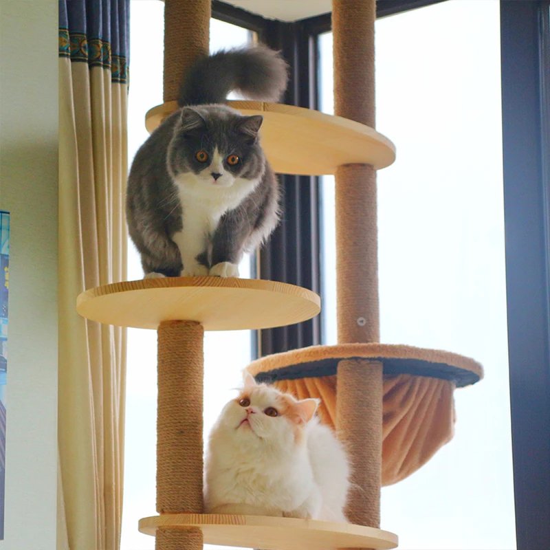 Marco de escalada DIY para gato con poste rascador