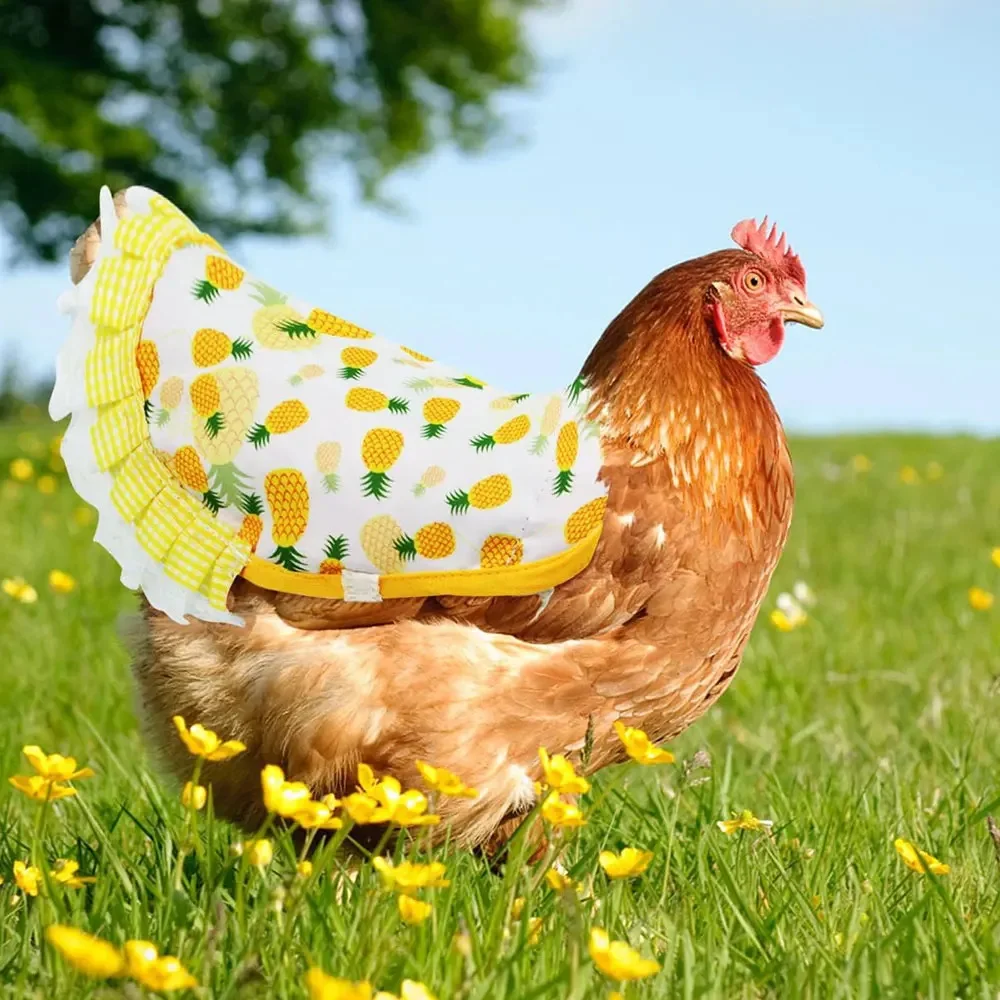 Delantal elástico para gallina, Protector de plumas para silla de montar de pollo, ropa ajustable para mascotas, vestido de pollo y pájaros, delantal para aves de corral para clima frío, 1 ud. - imagen 3